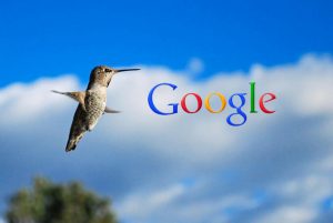 google-hummingbird-algorithm-seo-300x201.jpg