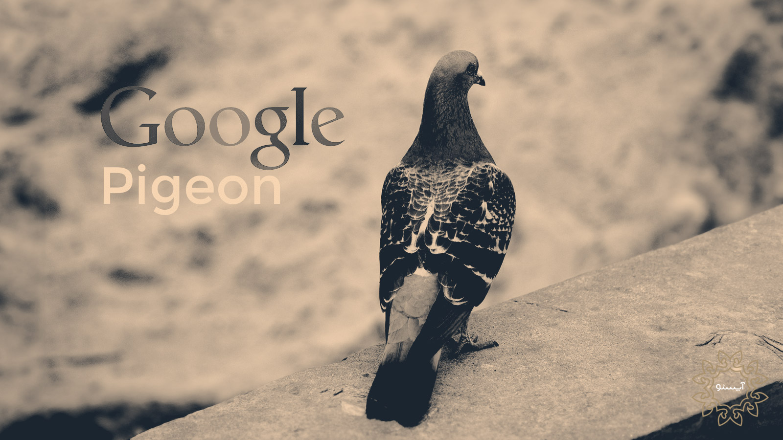 الگوریتم کبوتر گوگل: رتبه بندی مکان های محلی